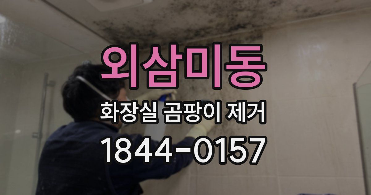 외삼미동 화장실 곰팡이 제거