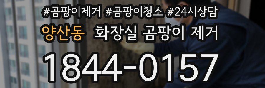 양산동 화장실 곰팡이 제거