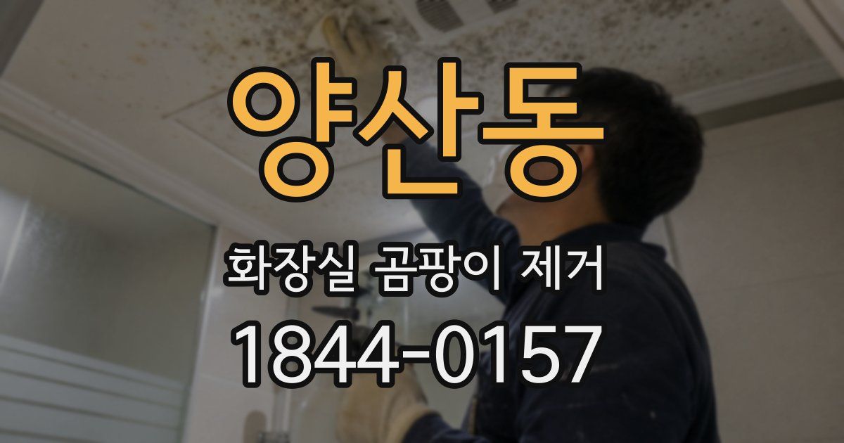 양산동 화장실 곰팡이 제거