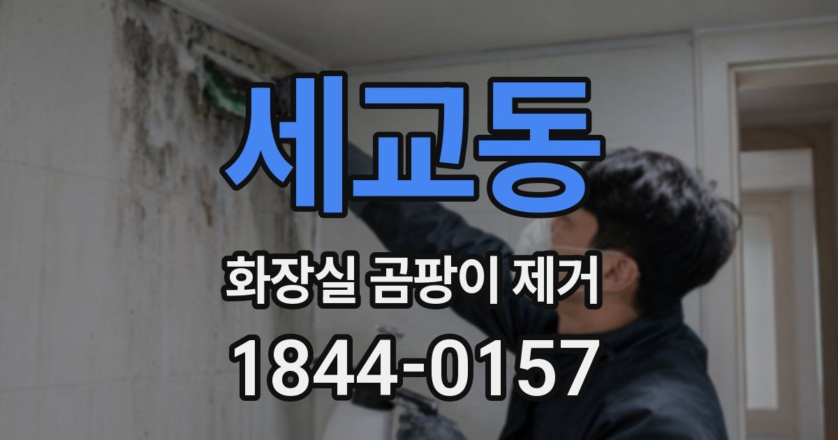 세교동 화장실 곰팡이 제거