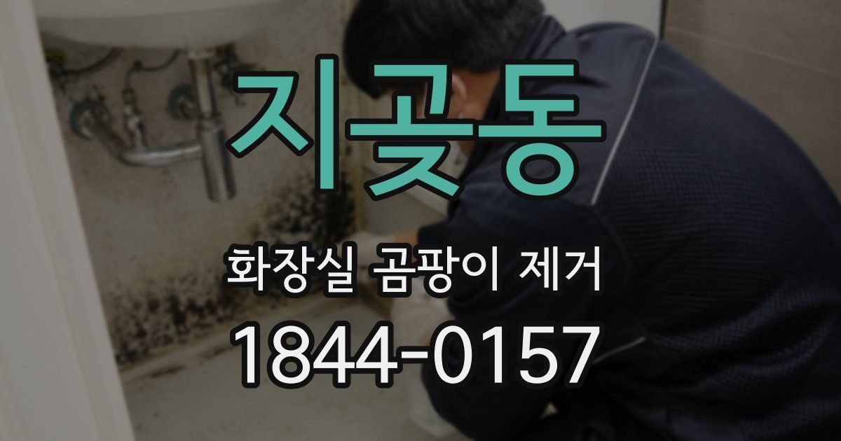 지곶동 화장실 곰팡이 제거