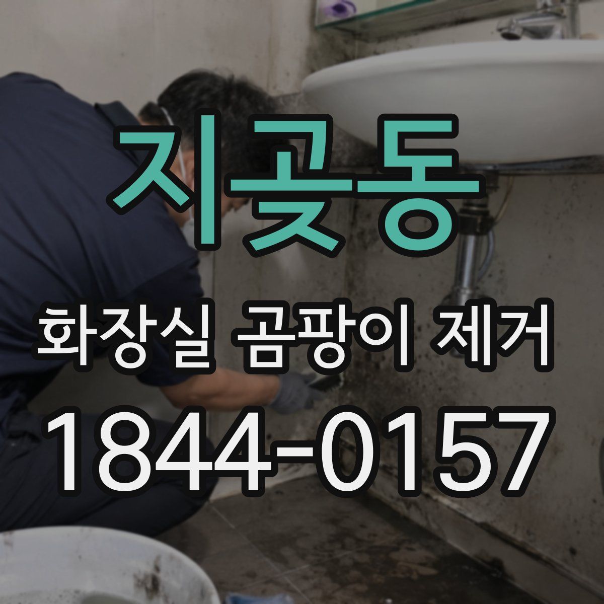 지곶동 화장실 곰팡이 제거