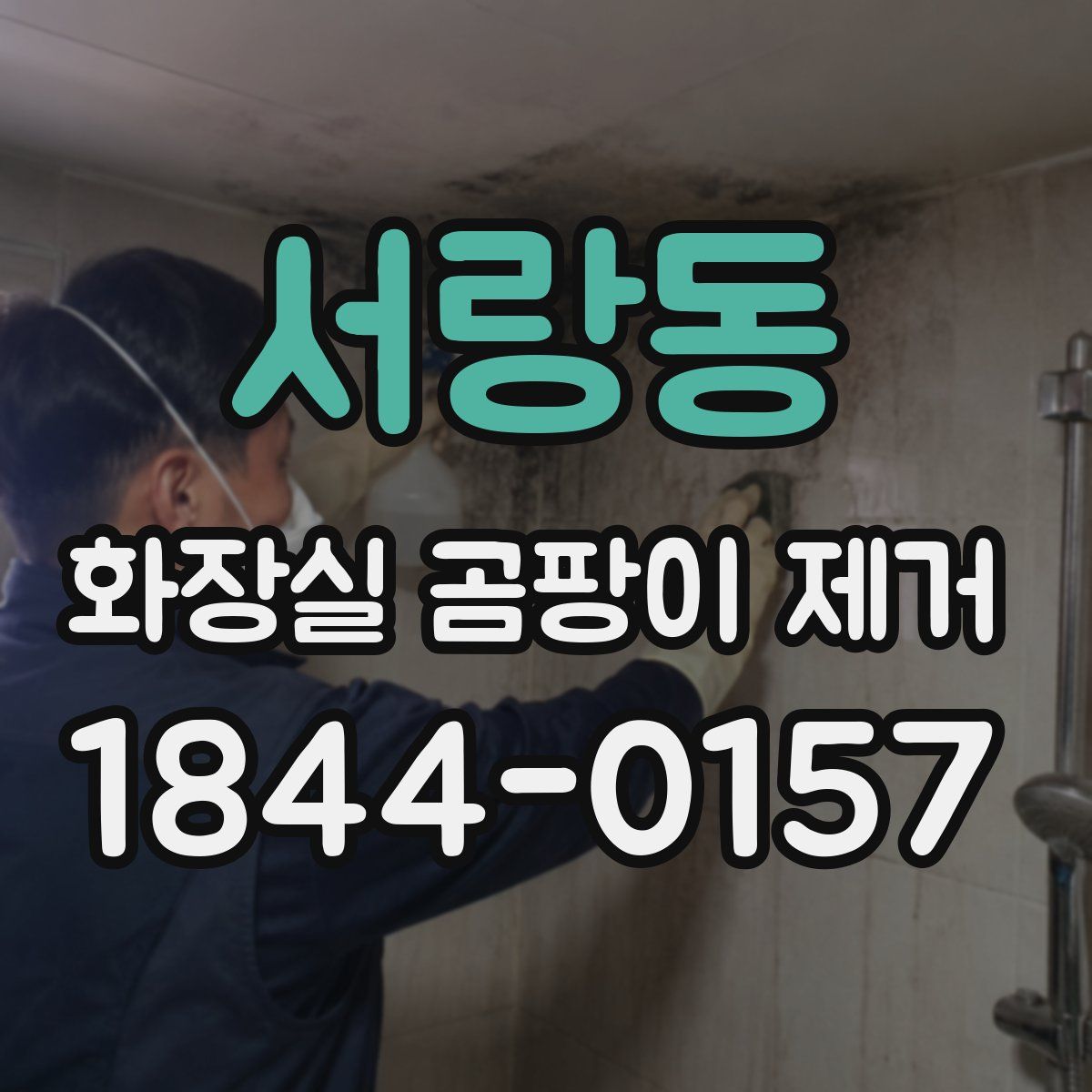 서랑동 화장실 곰팡이 제거