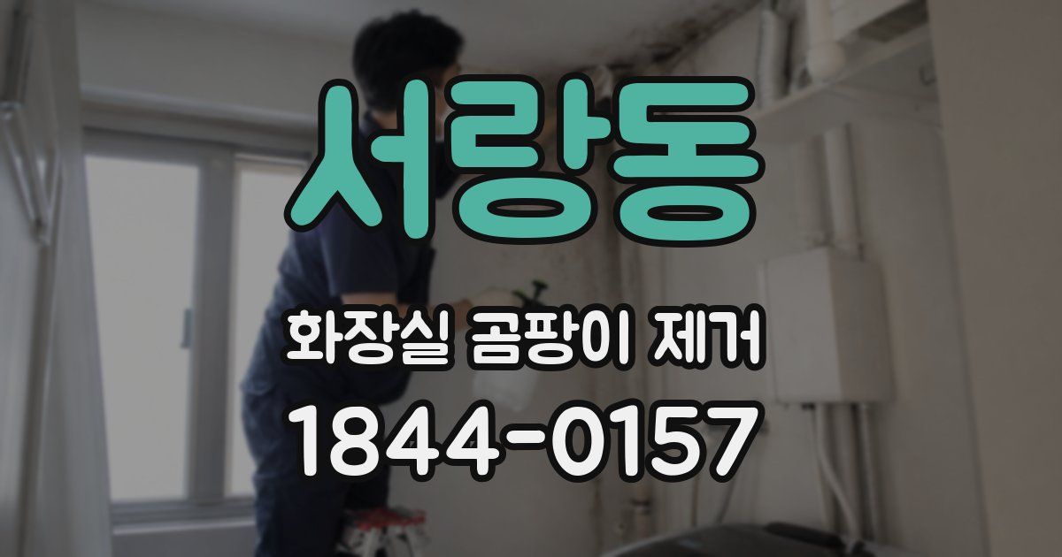 서랑동 화장실 곰팡이 제거
