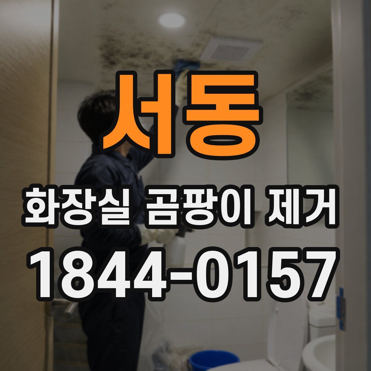 서동 화장실 곰팡이 제거