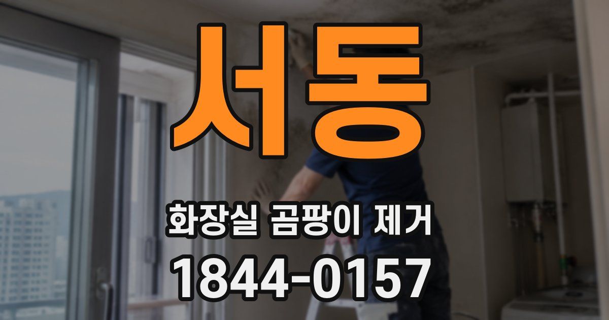 서동 화장실 곰팡이 제거