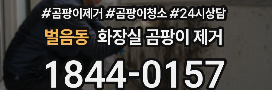벌음동 화장실 곰팡이 제거