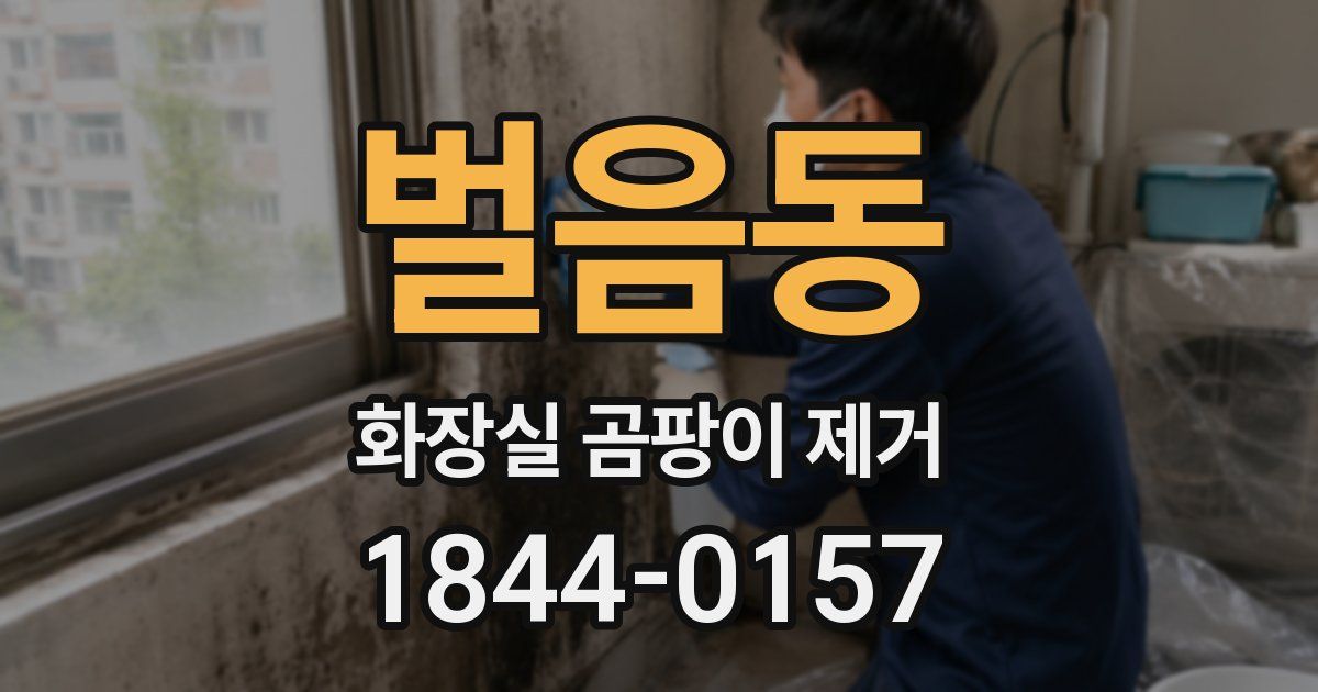 벌음동 화장실 곰팡이 제거