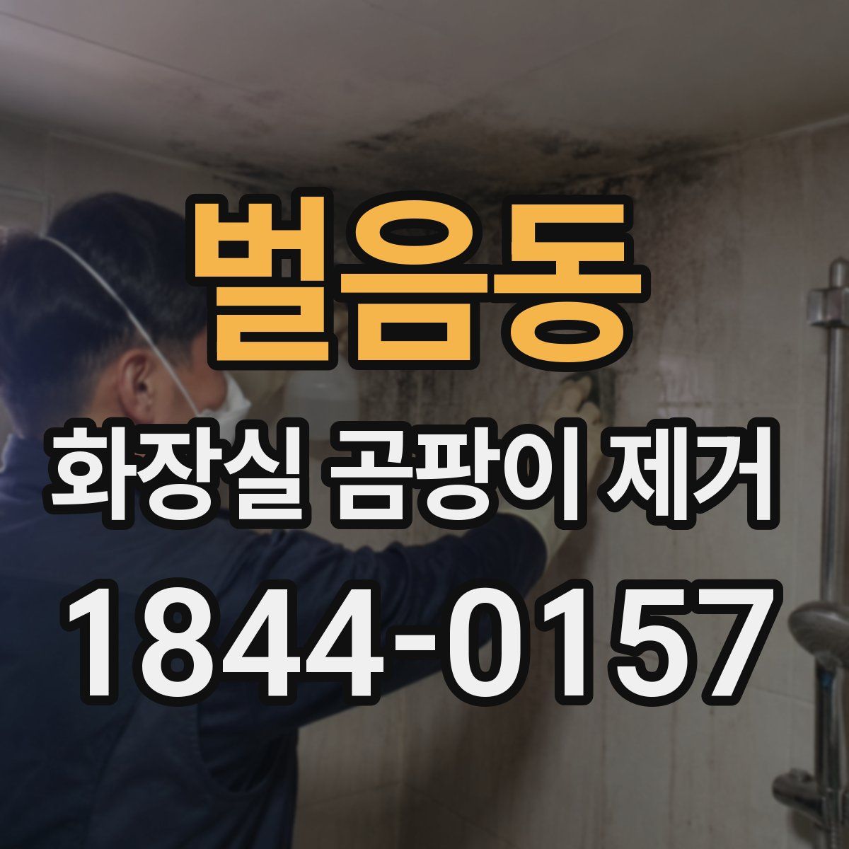 벌음동 화장실 곰팡이 제거