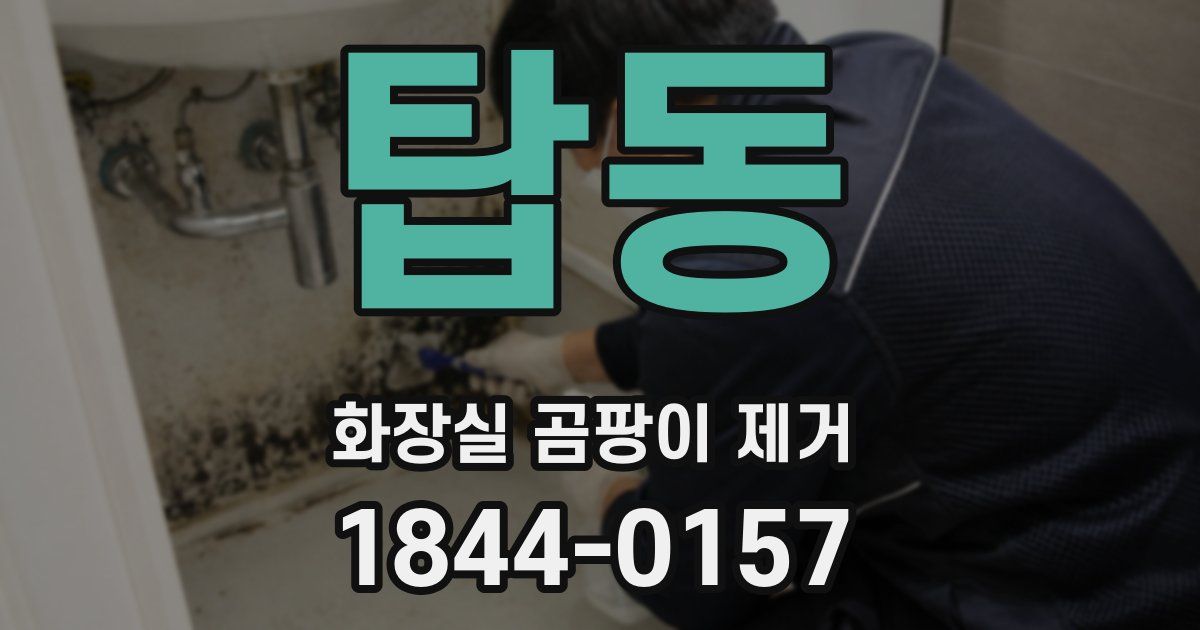 탑동 화장실 곰팡이 제거