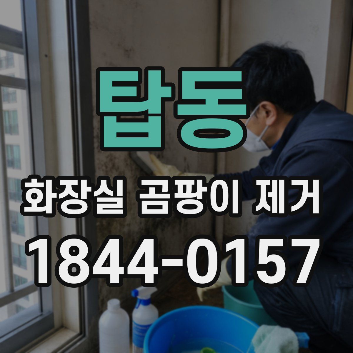 탑동 화장실 곰팡이 제거
