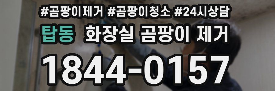 탑동 화장실 곰팡이 제거