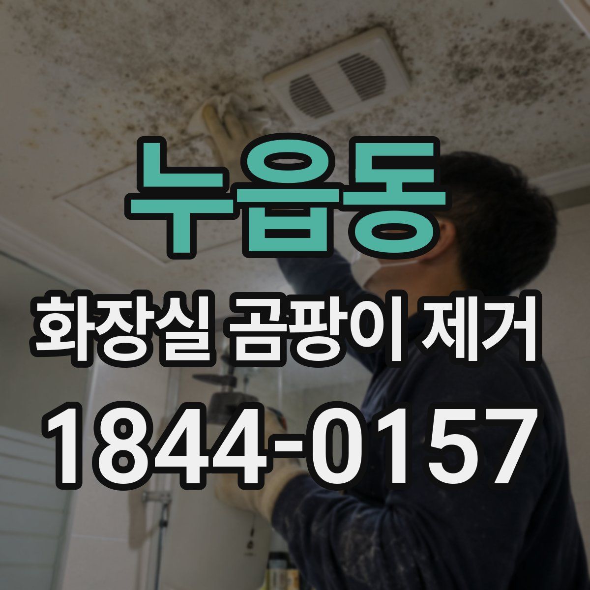 누읍동 화장실 곰팡이 제거