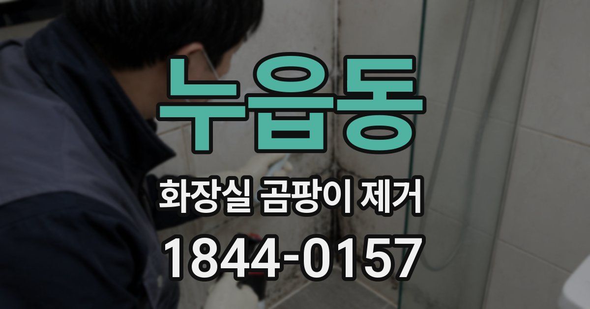 누읍동 화장실 곰팡이 제거