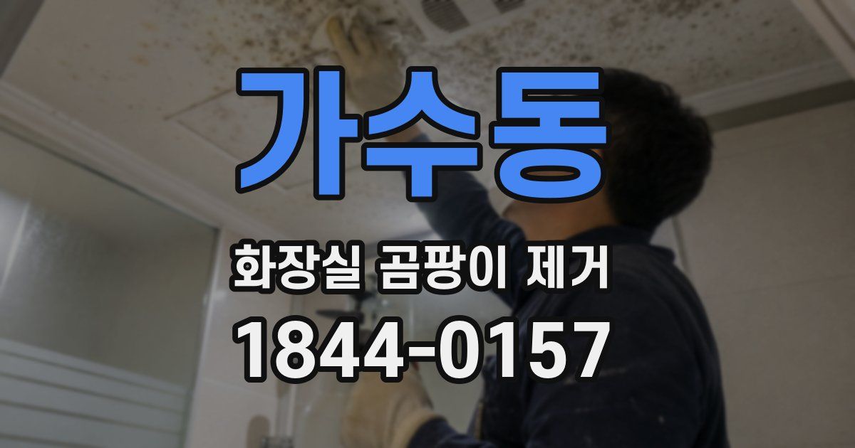 가수동 화장실 곰팡이 제거