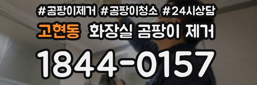 고현동 화장실 곰팡이 제거