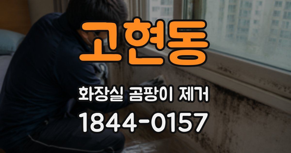 고현동 화장실 곰팡이 제거