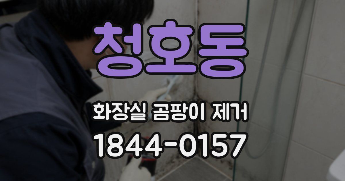 청호동 화장실 곰팡이 제거