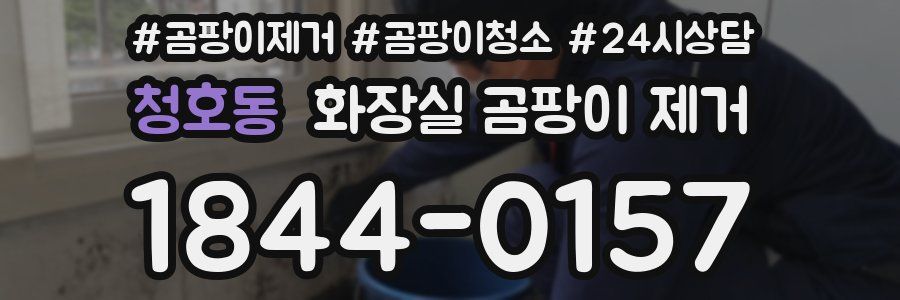 청호동 화장실 곰팡이 제거