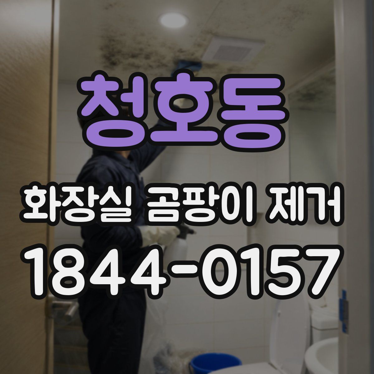 청호동 화장실 곰팡이 제거