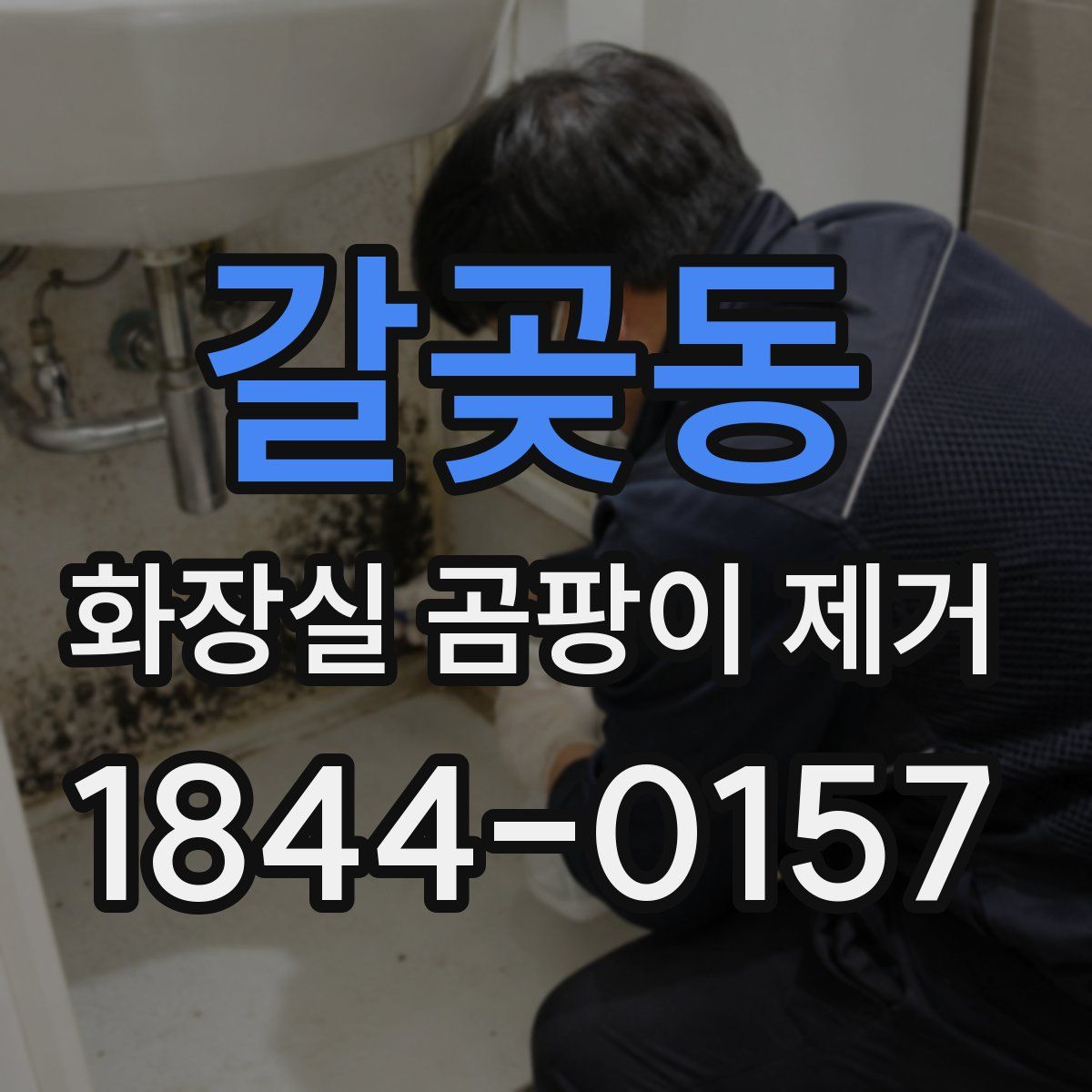 갈곶동 화장실 곰팡이 제거