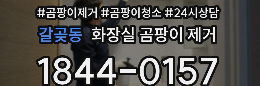 갈곶동 화장실 곰팡이 제거