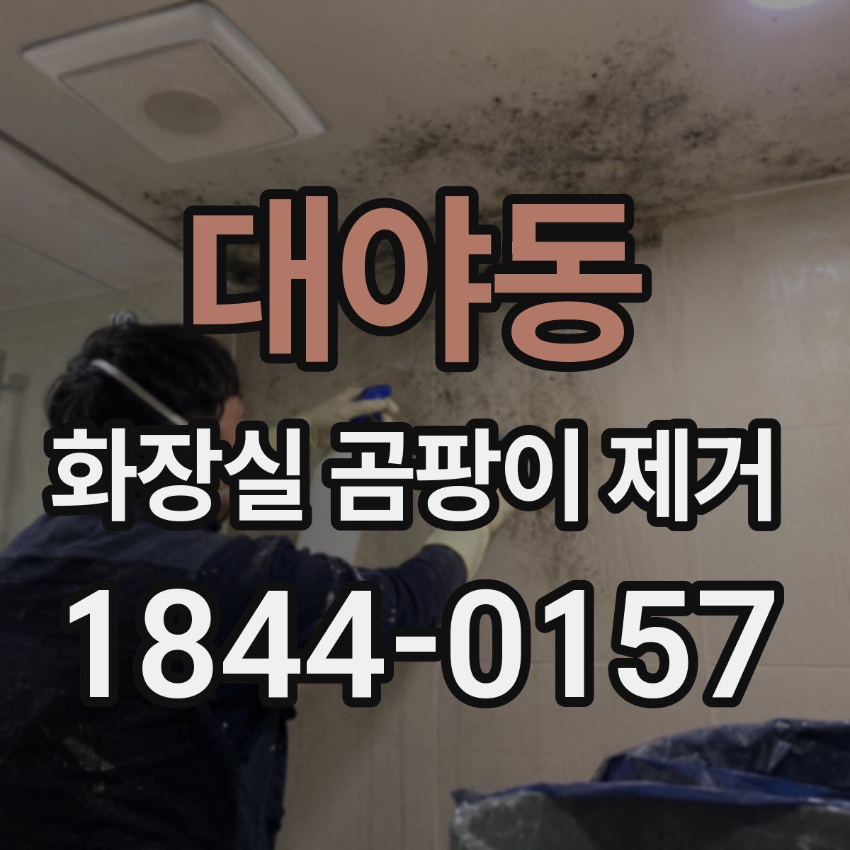대야동 화장실 곰팡이 제거