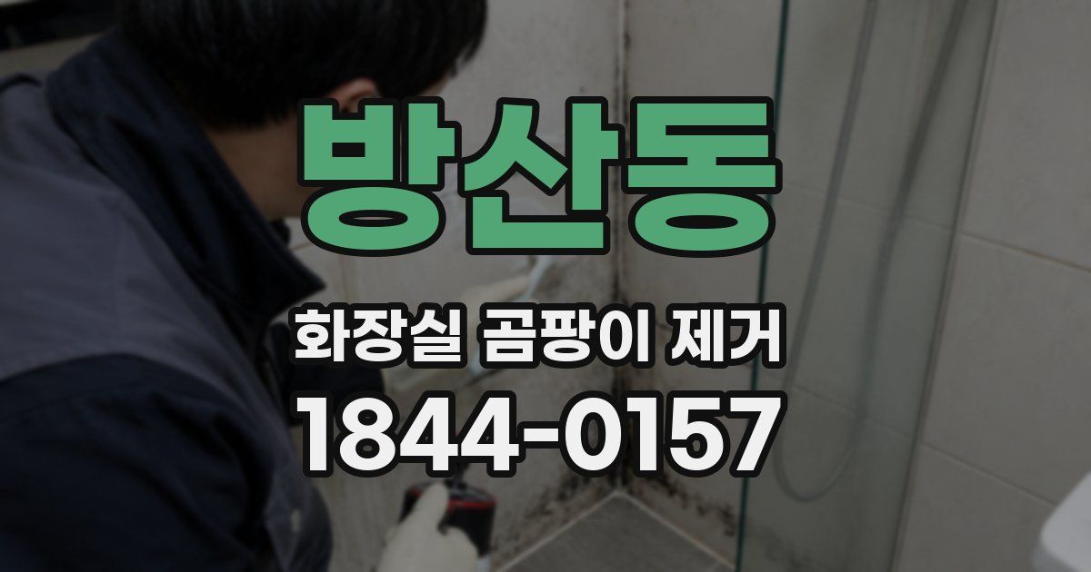 방산동 화장실 곰팡이 제거