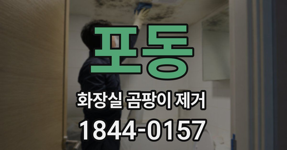 포동 화장실 곰팡이 제거
