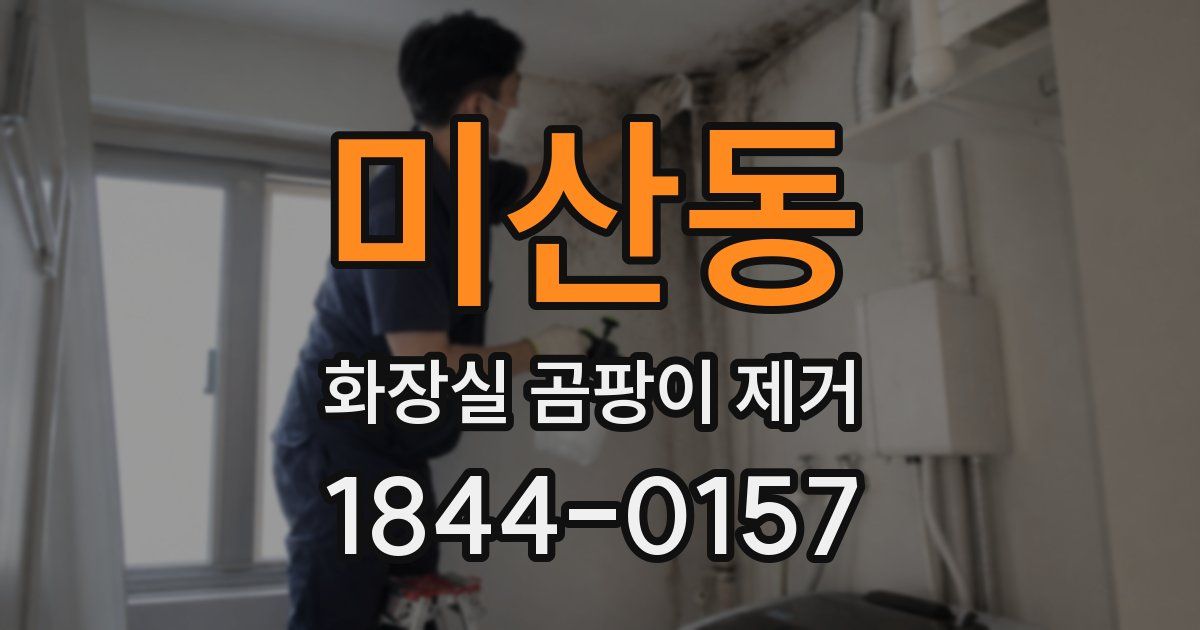 미산동 화장실 곰팡이 제거