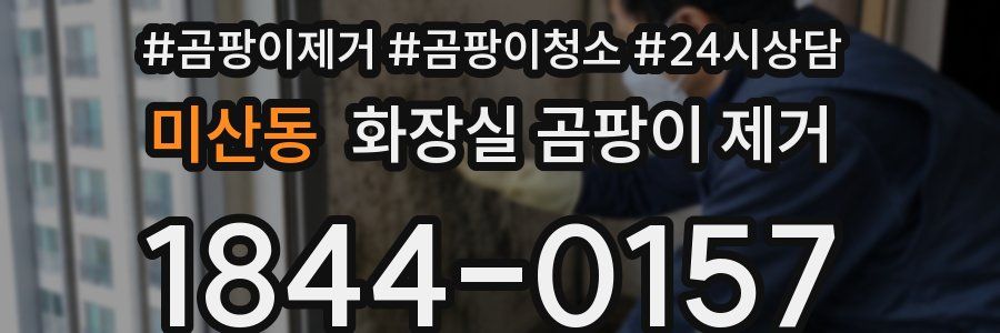 미산동 화장실 곰팡이 제거