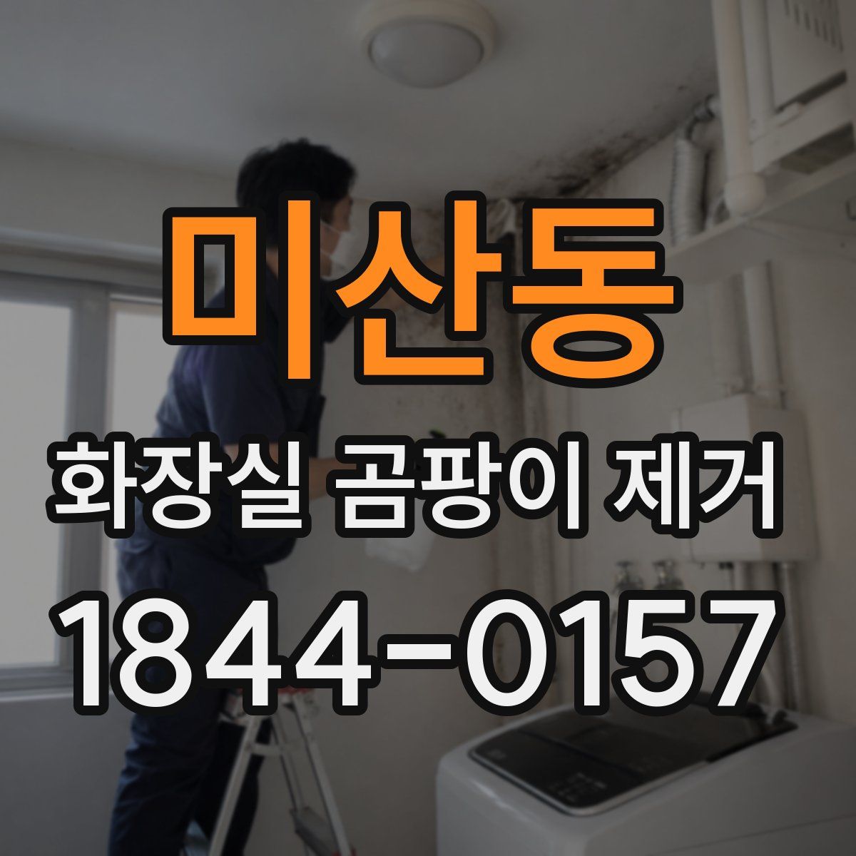 미산동 화장실 곰팡이 제거