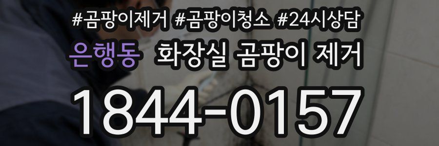 은행동 화장실 곰팡이 제거