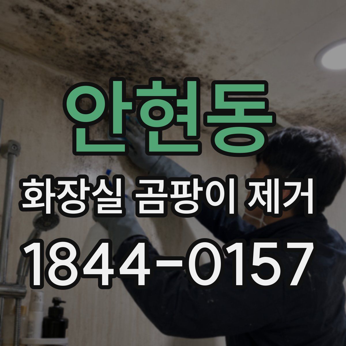 안현동 화장실 곰팡이 제거