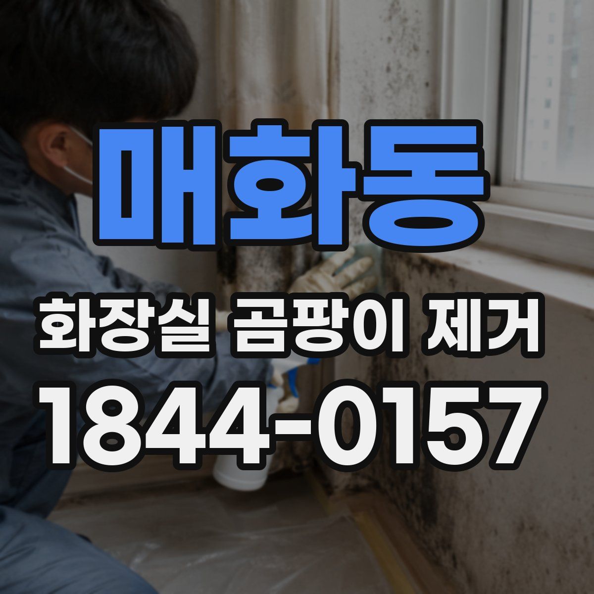 매화동 화장실 곰팡이 제거