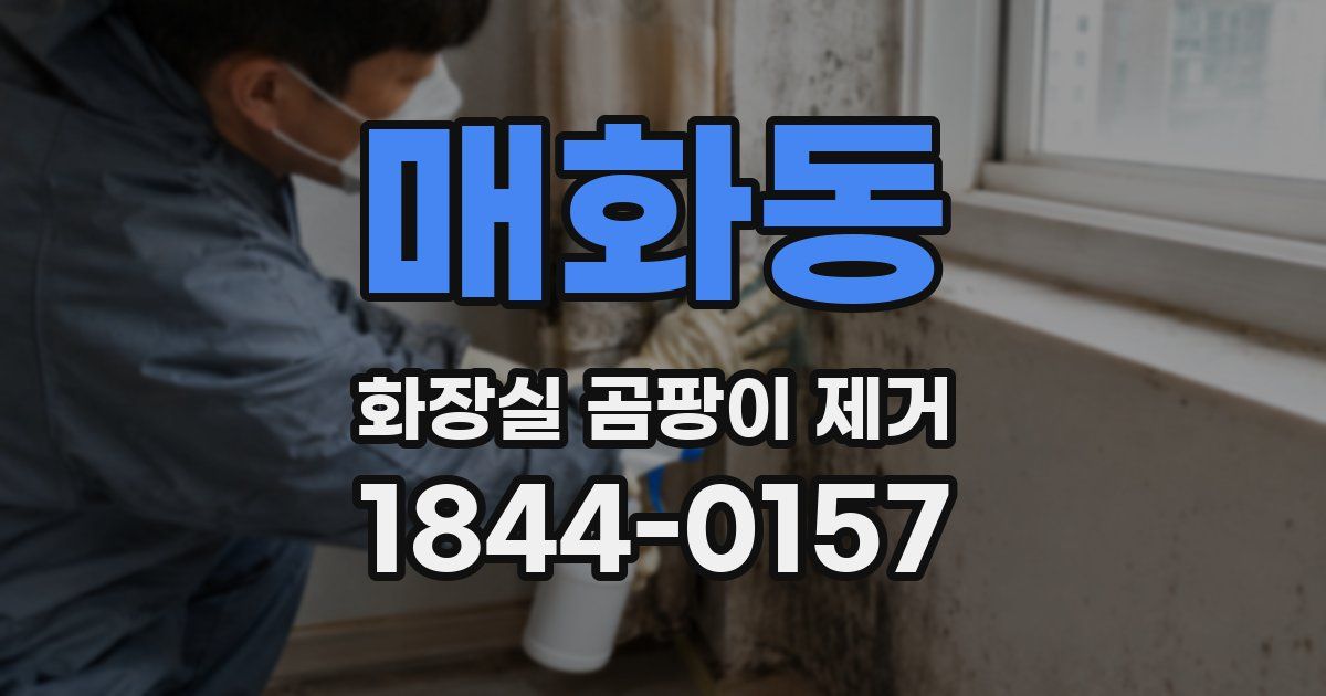 매화동 화장실 곰팡이 제거