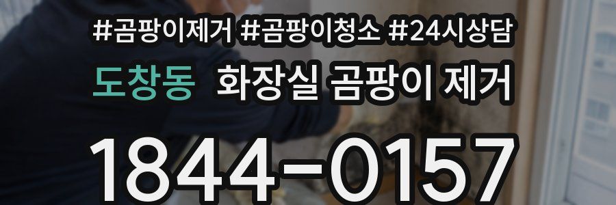 도창동 화장실 곰팡이 제거