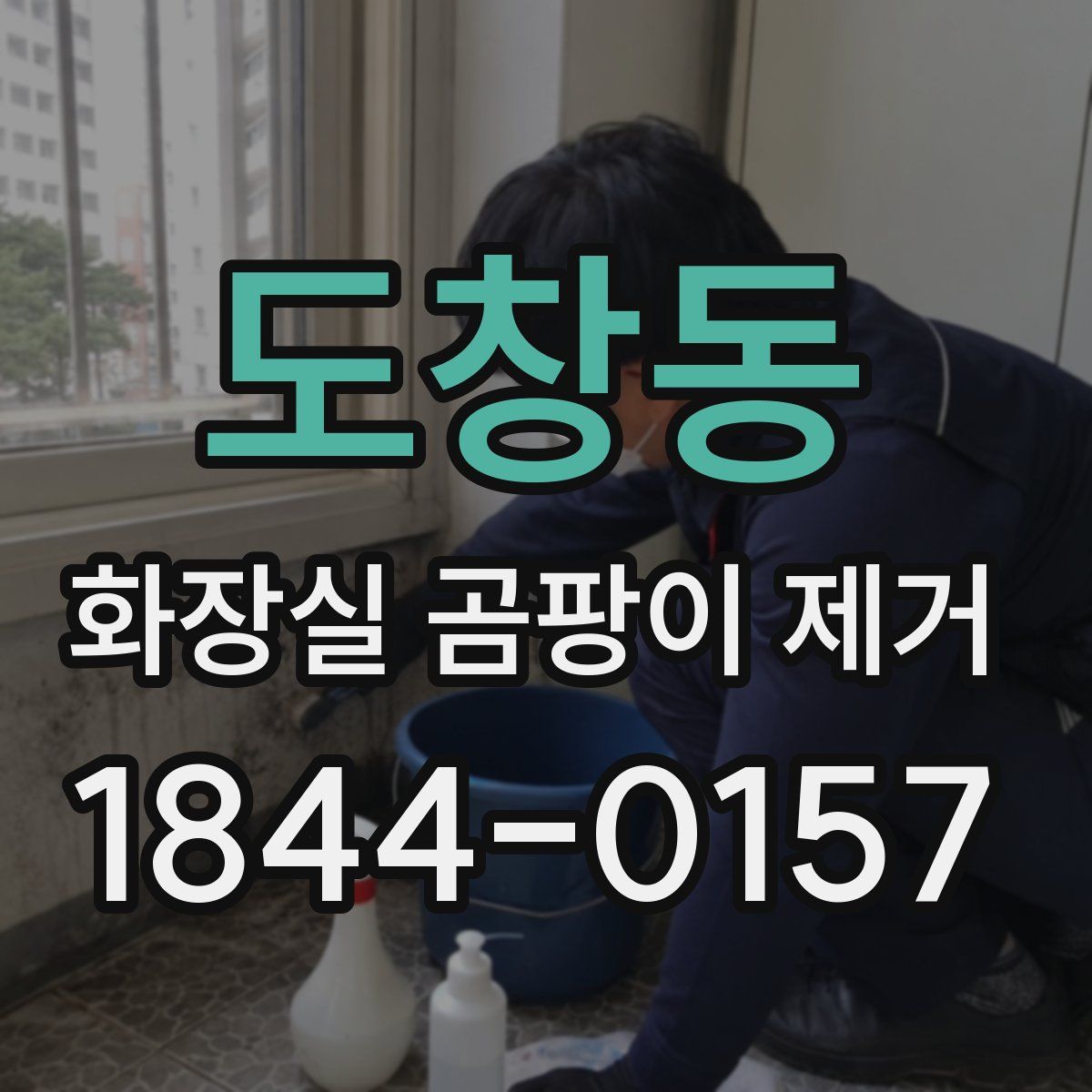 도창동 화장실 곰팡이 제거