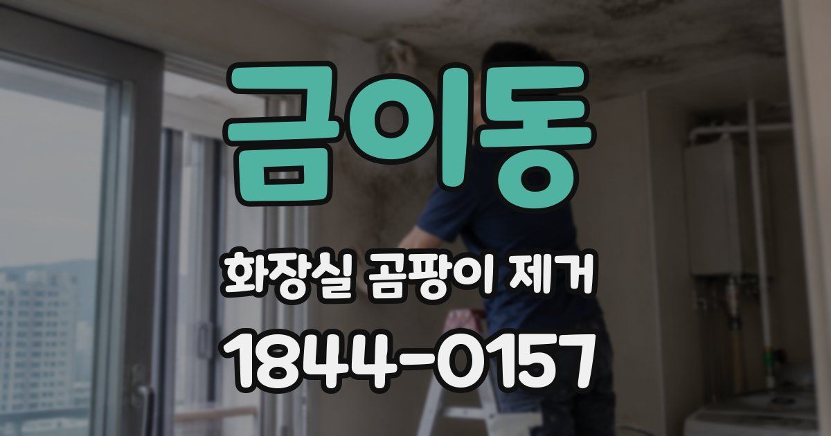 금이동 화장실 곰팡이 제거