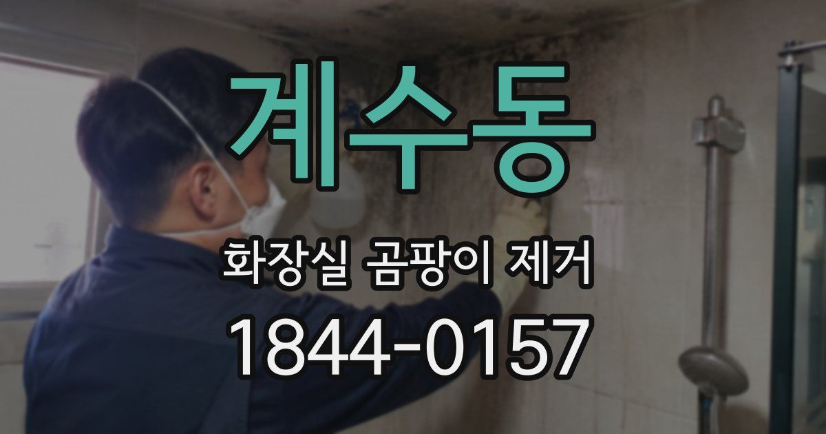 계수동 화장실 곰팡이 제거
