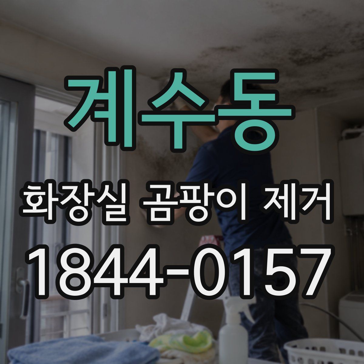 계수동 화장실 곰팡이 제거