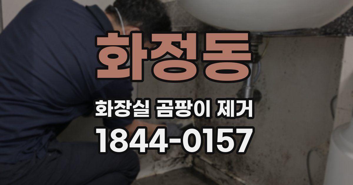 화정동 화장실 곰팡이 제거