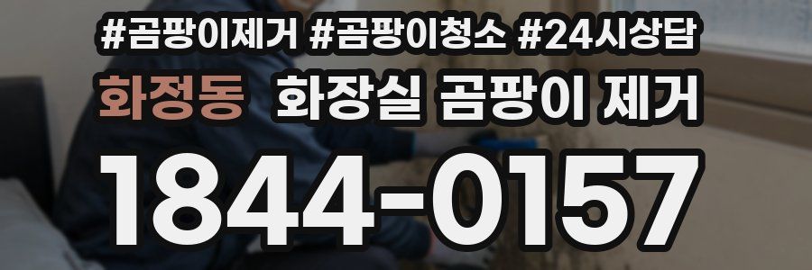 화정동 화장실 곰팡이 제거