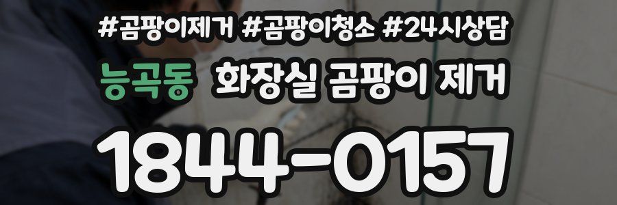 능곡동 화장실 곰팡이 제거