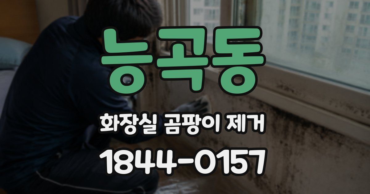 능곡동 화장실 곰팡이 제거