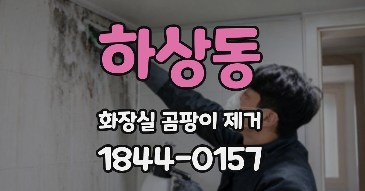 하상동 화장실 곰팡이 제거