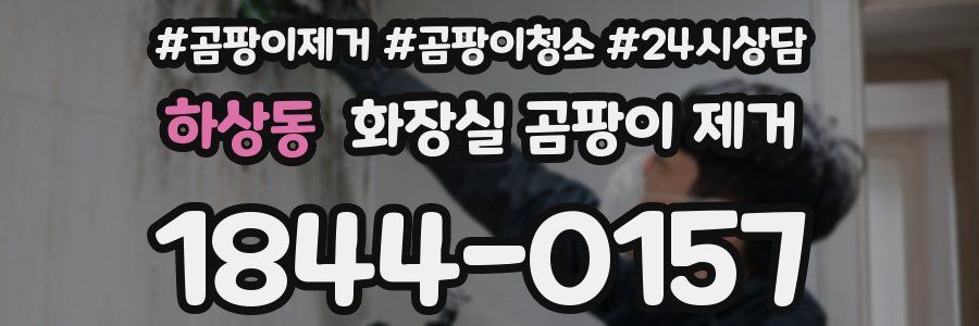 하상동 화장실 곰팡이 제거