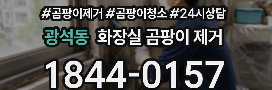 광석동 화장실 곰팡이 제거