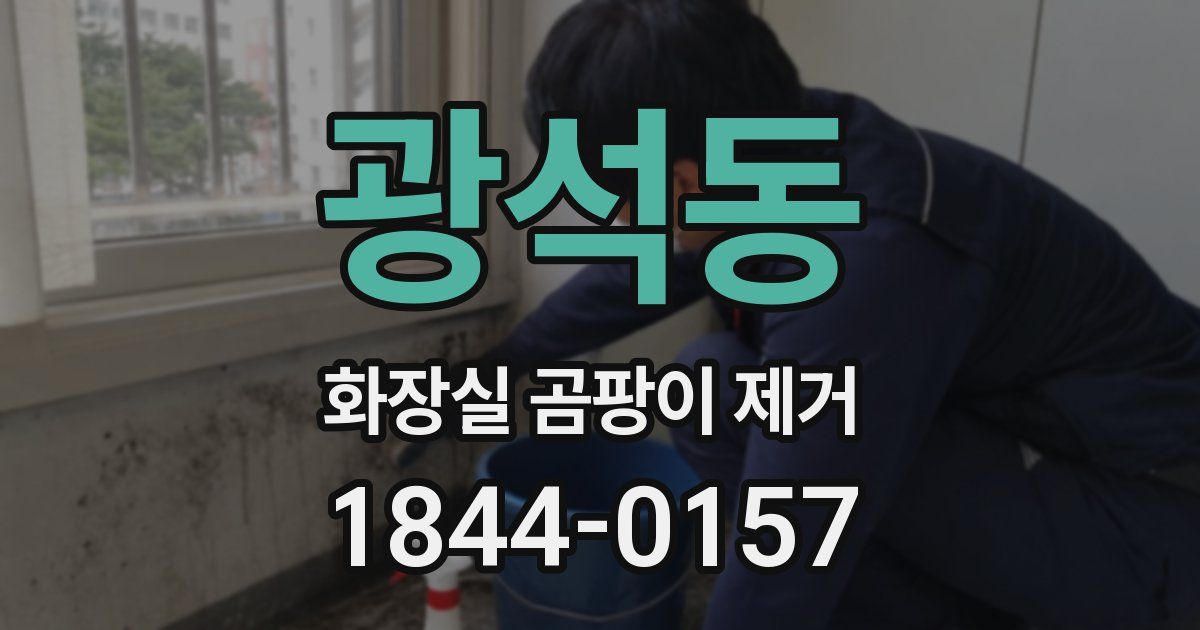 광석동 화장실 곰팡이 제거