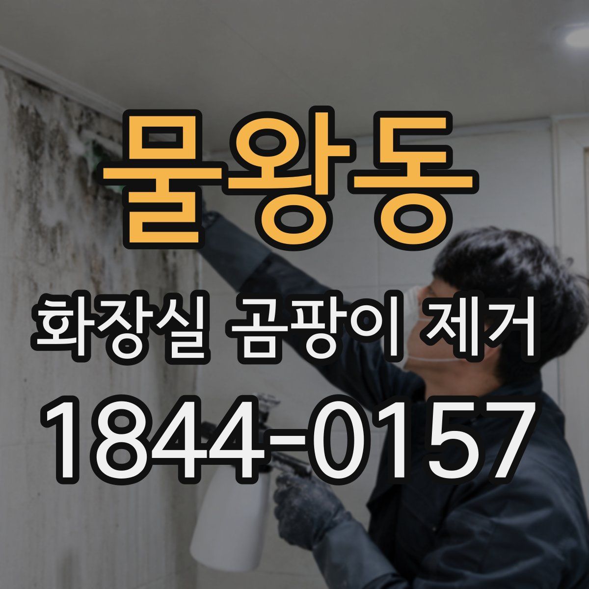 물왕동 화장실 곰팡이 제거
